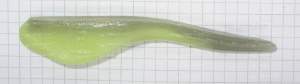 Rozemeijer Baby Pin Tail 11см 1шт #Chartreuse фотография