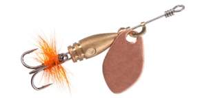 Блешня Маньячка Шість Фотографія