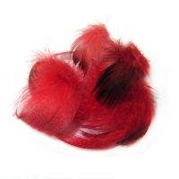 Пір'я селезня Strike Mallard Duck - Red (червоні) Фотографія