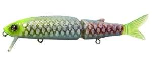 Воблер Jackall Magallon-113Sp Albino Chart Piraruku Фотографія