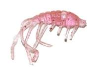 Силикон Redman Back Glide 1.0" UV Фиолет 20шт фотография