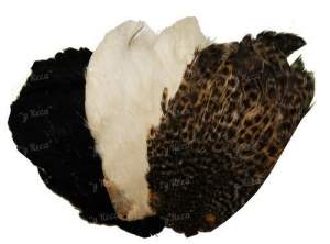 Скальп курки Hends Hen Capes Фотографія