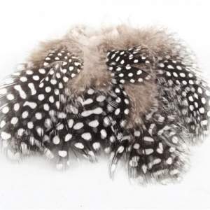 Перья цесарки Strike фотография