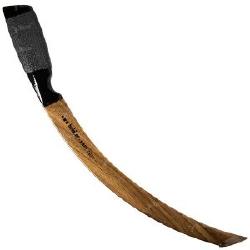 Квок Бехтер Горіх 000 довгий вигнутий Фотографія