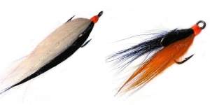 Муха на трійнику Treble Фотографія