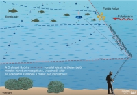 Поплавок Cralusso Surf  фотография №2