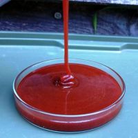 Екстракт гідролізату Grandcarp 250мл Криль Фотографія №1