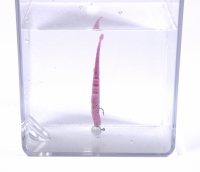 Силікон Lucky John Unagi Slug Фотографія №1