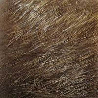 Мех нутрии Sybai Nutria Body -Lighter Natural фотография №1