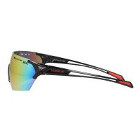 Очки Golden Catch Mirrox RR фотография №2