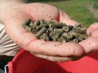 Пеллетс CZ Amur - Grass Carp Pellets 800г Амур CZ7903 фотография №1