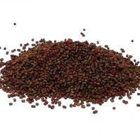 Стик пеллет Grandcarp 400г Слива фотография №1