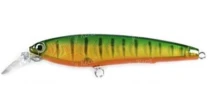 Воблер Yo-Zuri 3D Minnow-100 R725 PC фото