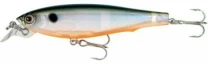 Воблер Yo-Zuri 3D Minnow-100 R725 PTS фото