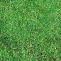 Даббинг Sybai SLF Blend -Green - фото