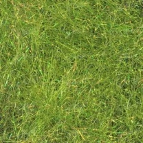 Даббинг Sybai SLF Blend -Olive - фото