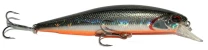 Воблер DUO Realis Jerk Bait 100Sp D81 фото