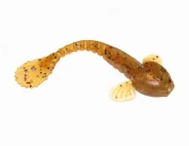 Силикон Fanatik Goby 3.5" 003 (5шт) - фото