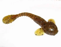 Силикон Fanatik Goby 3.5" 002 (5шт) - фото