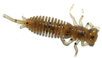 Силикон Fanatik Larva 2.5" 006 - фото