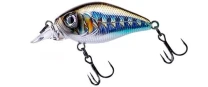 Воблер Fishycat Icat 32F-SR R09 - фото