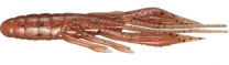 Jackall Waver Srimp 2.8" Ebimiso Red Flake 1шт - фото