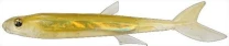 Силикон Megabass Jamilla 3.75" NC Wakasagi фото