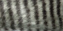 Мех искусственный Strike Furabou - Gray фото