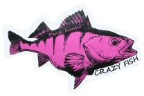 Наклейка Crazy Fish Rech Hunter 100*62мм розовая на белом фото