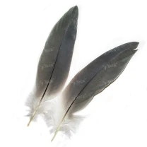Перо цапли маховое Strike Heron Mini Feathers - Natural фото