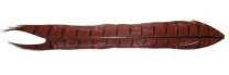 Пір'я фазана Hends Pheasant Tail PT-02 фото