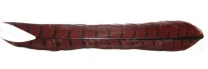 Перья фазана Hends Pheasant Tail PT-08 фото