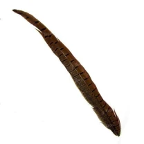 Перо фазана хвостовое Strike Pheasant Tail - Natural фото