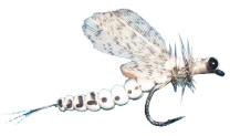 Суха мушка Real Mayfly SV58-12 фото