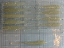 Molix Sator Worm 4" 10шт #07 White Shad фото
