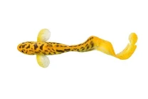 Силикон Savage Gear 3D Burbot 250мм FS-02-Golden Albino фото