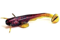 Силикон Fishup Catfish 2.0" 019-Motor Oil Red 10шт - фото