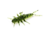 Силикон Fishup Stonefly 0.75" 042-Watermelon Seed 12шт фото