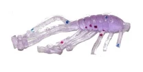 Силикон Redman Back Glide 1.0" UV Lox 20шт - фото