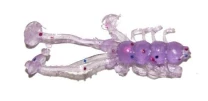 Силикон Redman Krawik 1.5" UV Lox 10шт фото