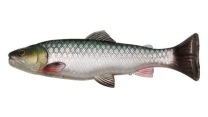 Силикон Savage Gear 3D Craft Trout Pulsetail 200мм Green Silver фото