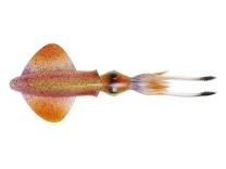 Силикон Savage Gear 3D Swim Squid 9.5см Horny Squid 4шт фото