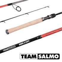 Спиннинг Salmo Ballist Team TSBA1-591F тест 3-12г фото
