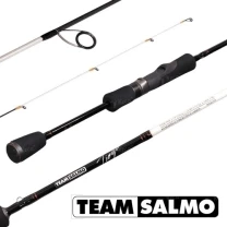 Спиннинг Salmo Tioga Team  фото