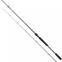 Спиннинг Daiwa Prorex XR Spin 2.4м 10-30г фото