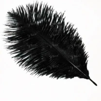 Перо страуса Strike Ostrich Feathers - Black фото
