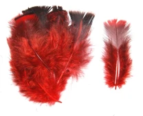 Перо індика покривне Strike Mini Blanket Turkey Feathers Red фото