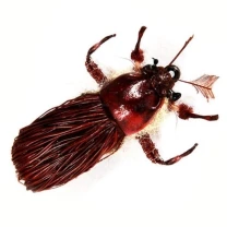 Сухая мушка Realistic Beetle Brown SV01-06  - фото