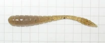 Tsunekichi Worm 2" 15шт #C-00 фото