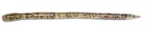 Vein U30 3,8" 10шт. #120 - фото